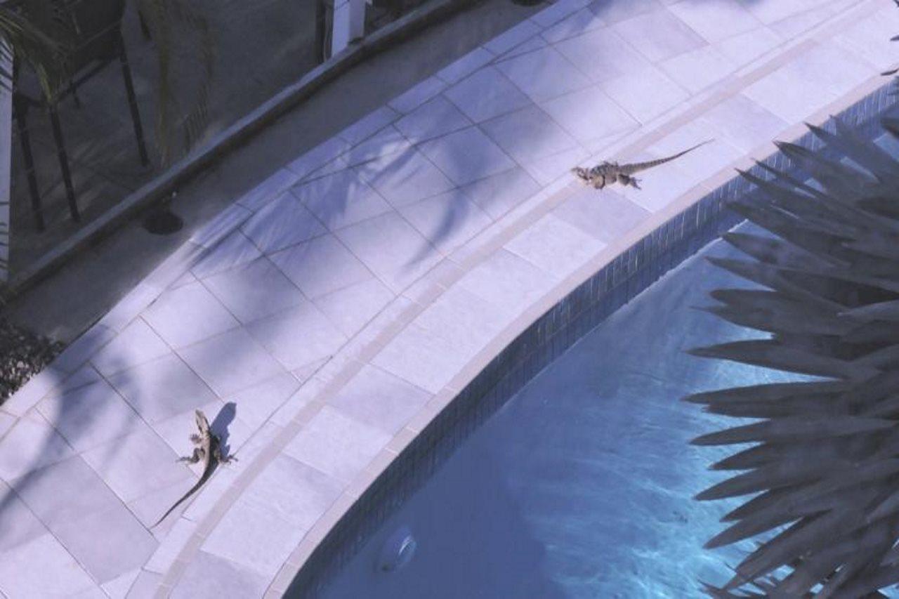 Resort Arc